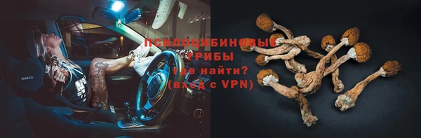 ECSTASY Армянск