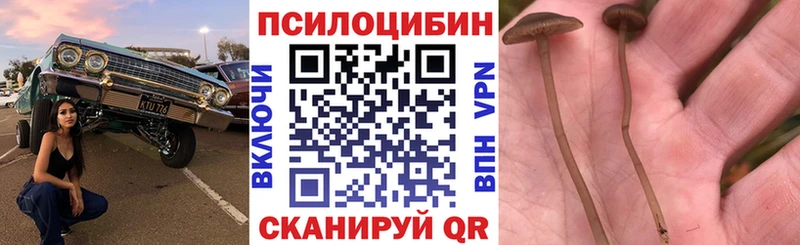 Галлюциногенные грибы MAGIC MUSHROOMS  купить наркотики цена  мега ссылки  Талица 